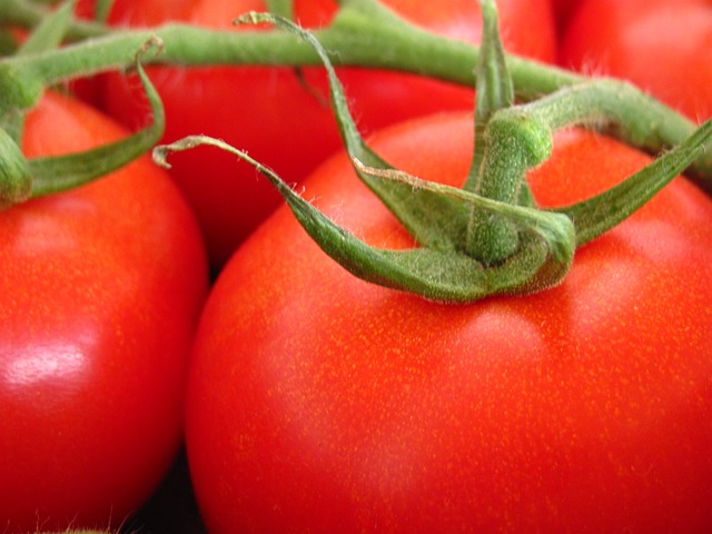 Produse pentru cultura de tomate
